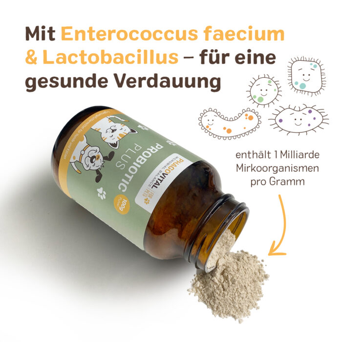 Probiotic Plus – Bild 2