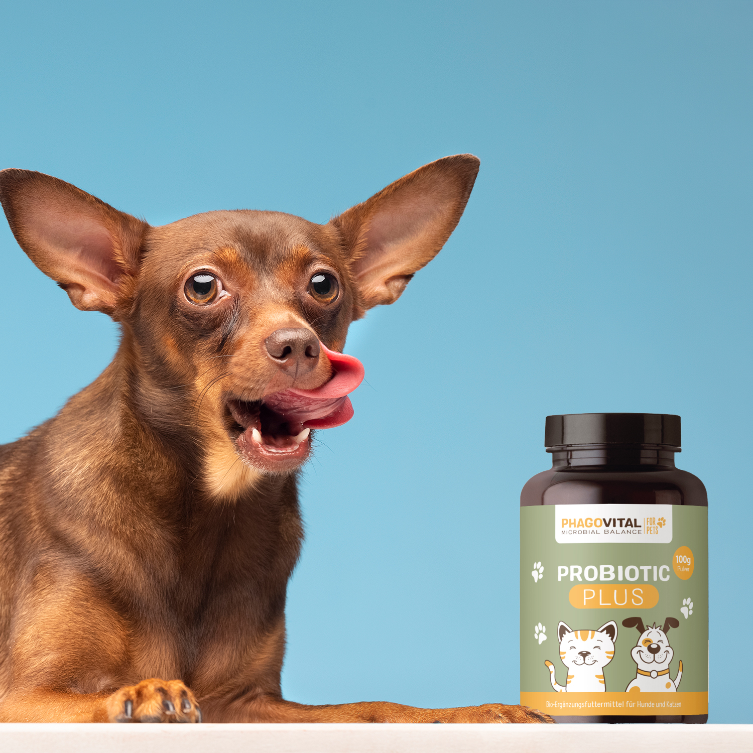 Probiotic Plus – Bild 4