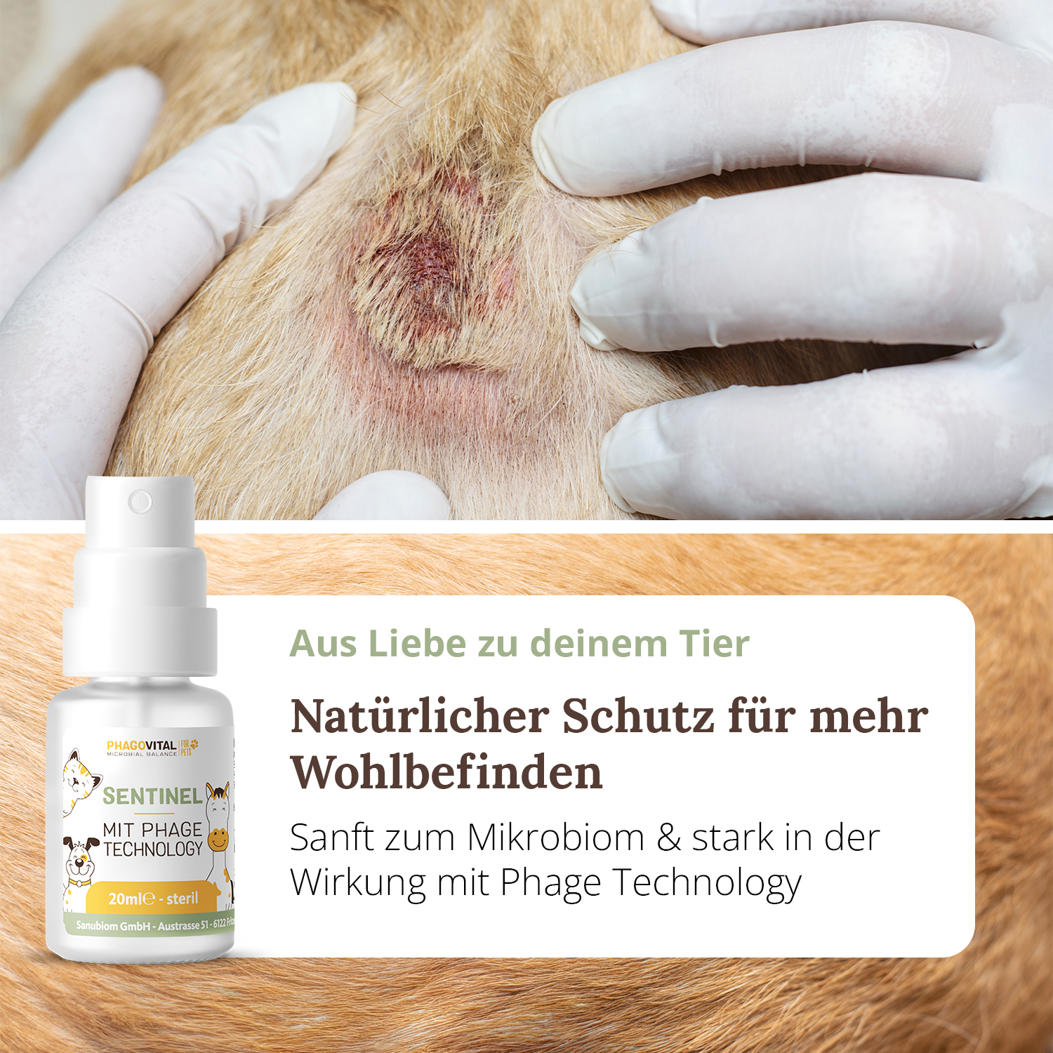 Sentinel Spray – Bild 4
